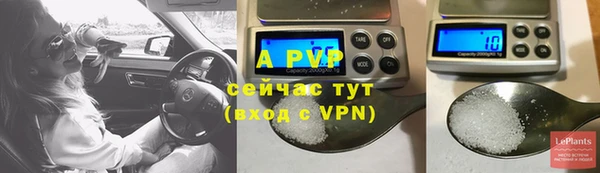 амф Алексин