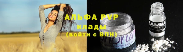 амф Алексин