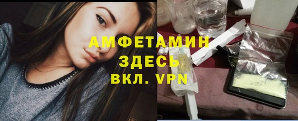 амф Алексин